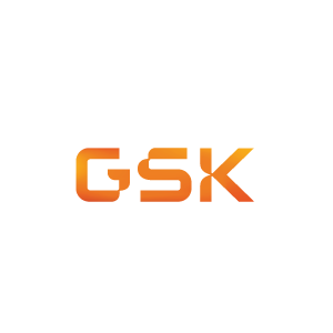 Logo 31